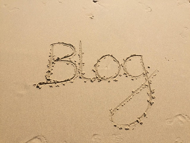 Choosing WordPress for Blogs, Business Sites, and E-commerce: A Practical Guide