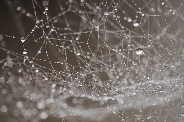 Web Hosting Explained: Complete Beginner-to-Advanced Guide