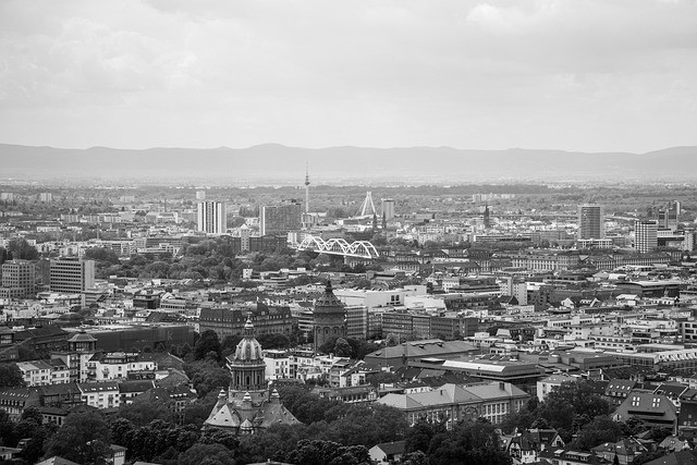 SaaS Ecosystem Overview: Providers, Integrations, and Market Structure Guide