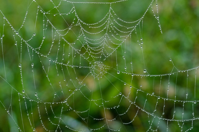 Modern Web Development Explained: Practical Guide to Building Websites