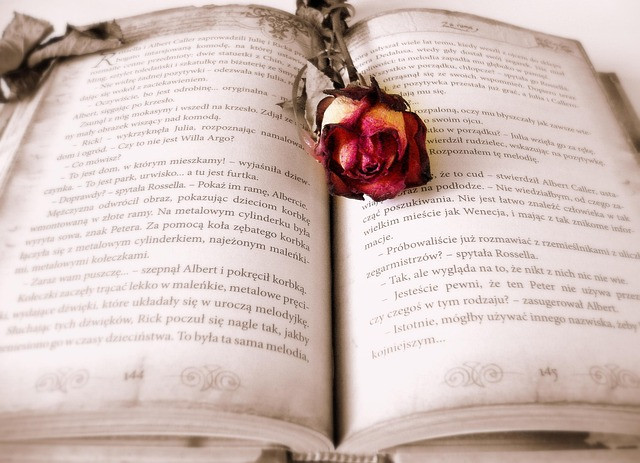 Complete Book Formatting Guide for Ebook and Print: Steps, Checklist, and Templates
