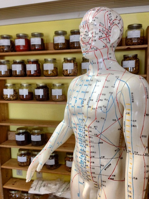 Holistic Health Practices: A Practical Guide to Integrating Body and Mind