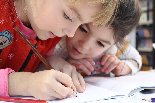 Self-Learning vs Structured Learning: Comparing Flexibility, Discipline, and Outcomes