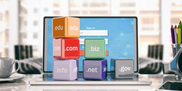Domain versus Hosting: Whats the Difference?