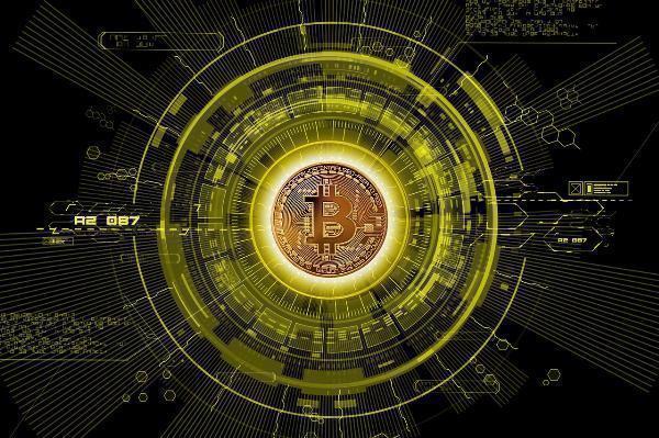 Factors Behind Shiba Inus Rapid Popularity Increase