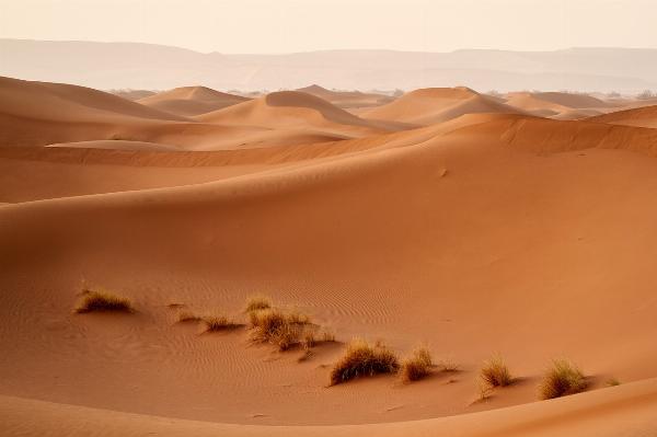 Best Unique Ways to Experience Dubai’s Desert Landscape