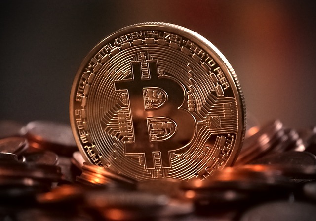 Distinguishing Features Between Celo and Bitcoin