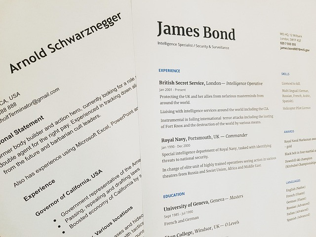 Specialist vs Generalist Career Paths: A Practical Guide to Choosing a Growth Model