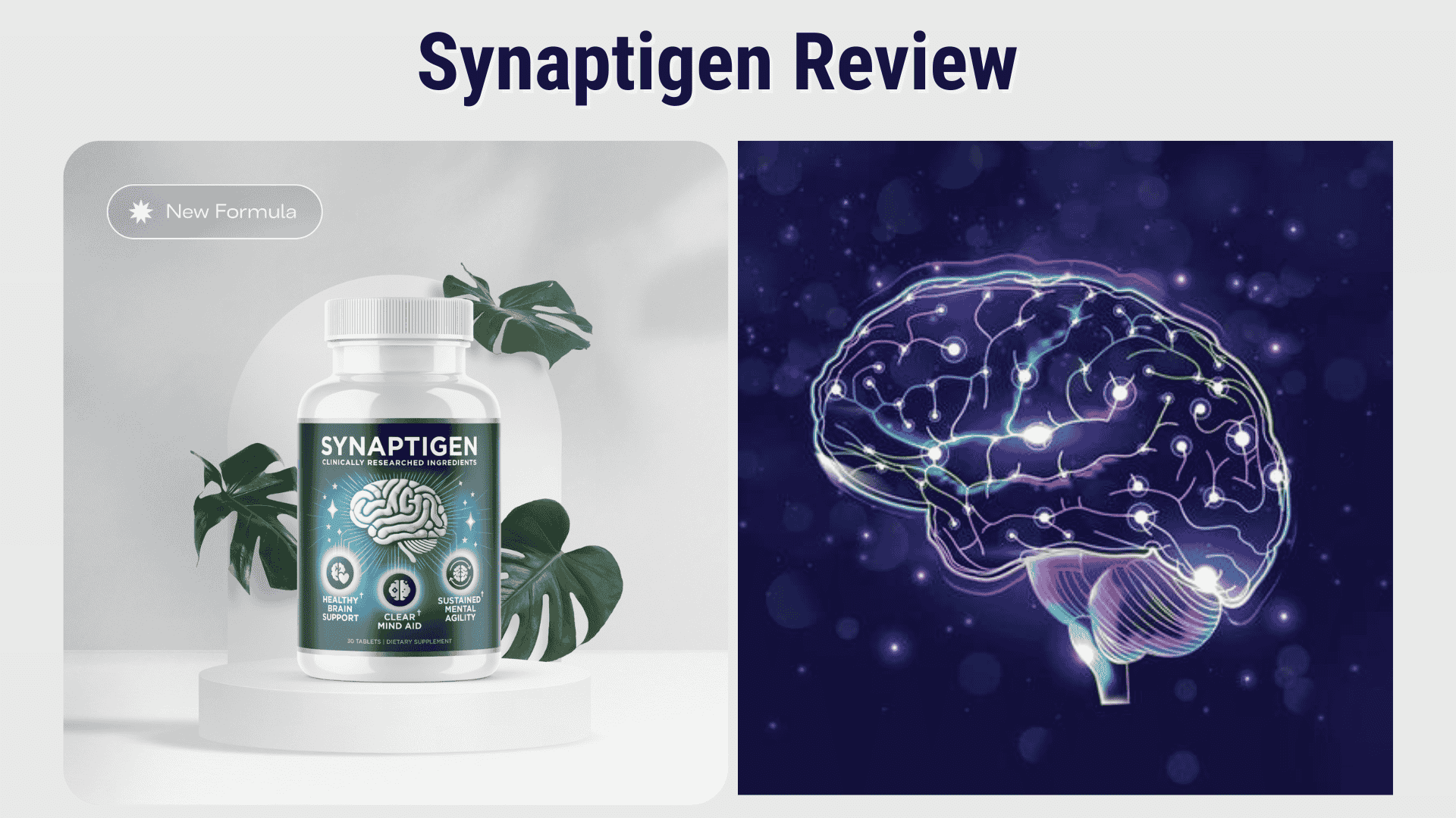 Synaptigen&rsquo;s Secret Formula: Natural Ingredients That May Boost Brainpower