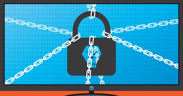 Protecting Your Business in a World Full of Cyber Risks