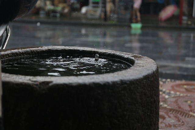 Discover How Septic Tank Treatment Tablets Help Break Down Waste Naturally