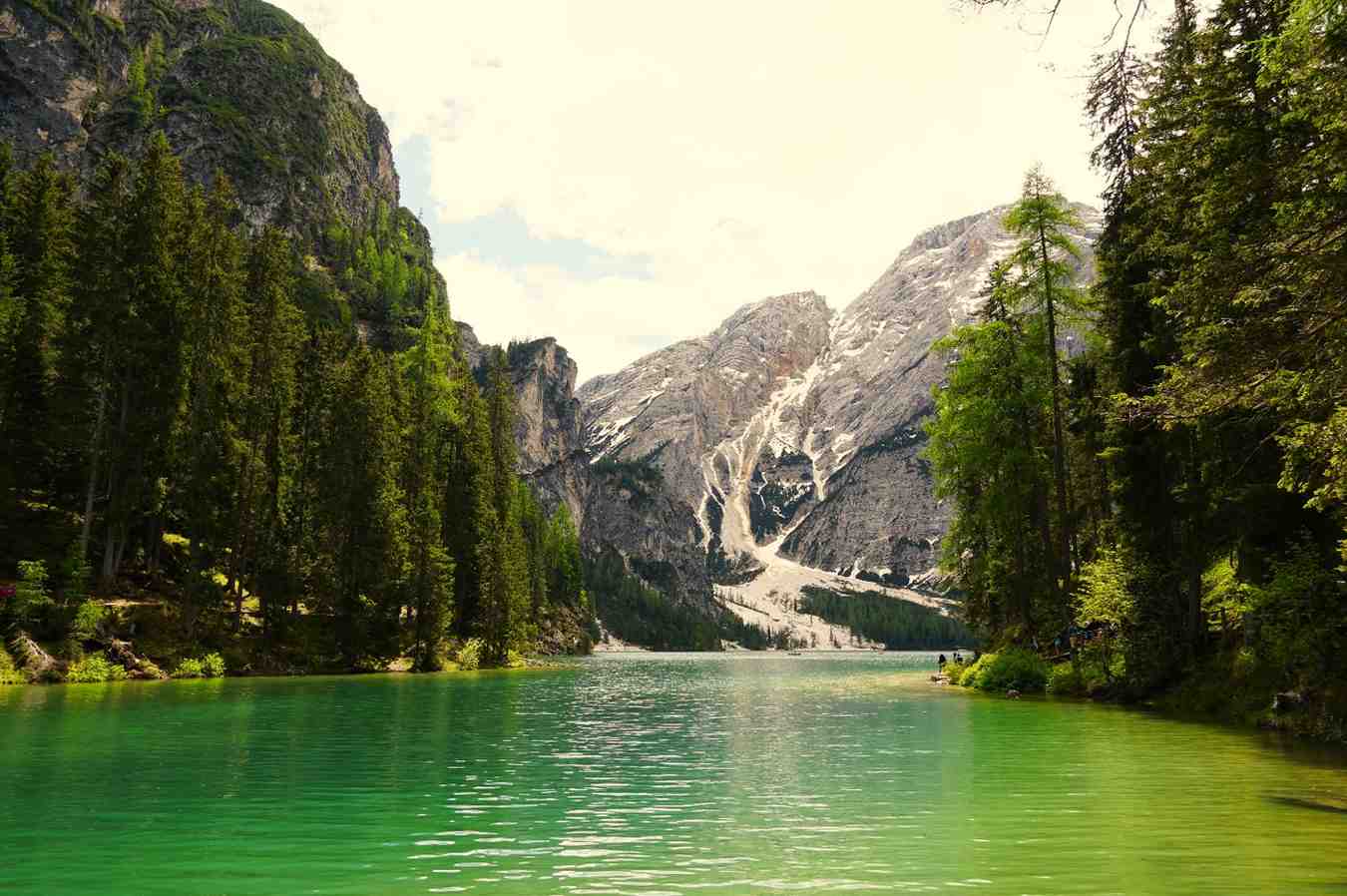 Explore the World with Our Trusted Travel and Tours Services