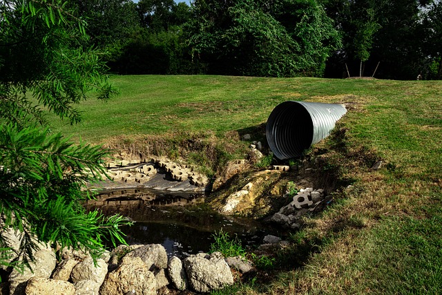 Complete Guide to CCTV Drain Inspection North Shore