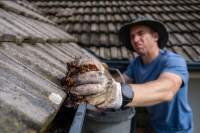 The Hidden Link Between Gutter Health and Your Roof’s Lifespan