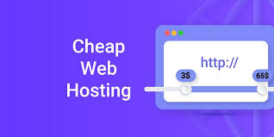 Web Hosting 101: Pick the Right Plan, Avoid Scams