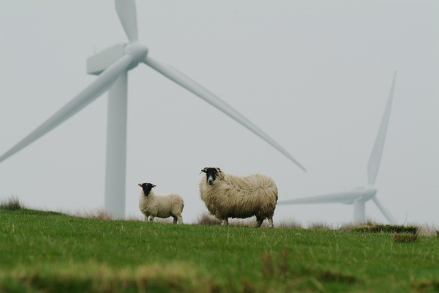 Practical Guide: AI Sustainability Report Generator for Small Business ESG Goals