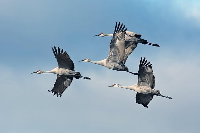 Essential Cloud Migration Fundamentals: Strategy, Checklist, and Best Practices