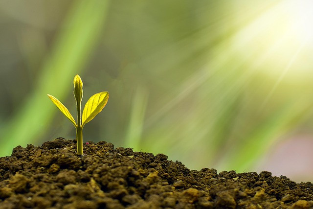Using an AI Financial Statement Generator for Audit-Ready Annual Reports