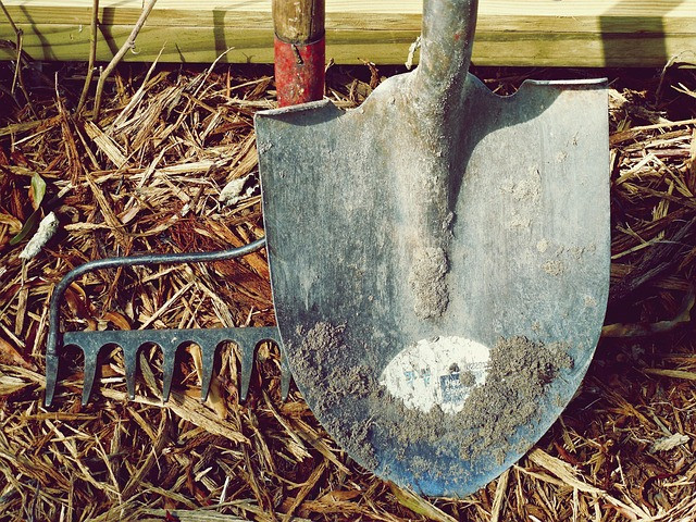 Understanding the Risks of Using AI Tools: Privacy, Accuracy, and Dependence