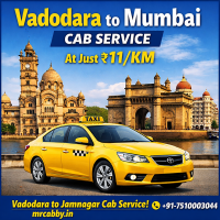 Mrcabby Top
