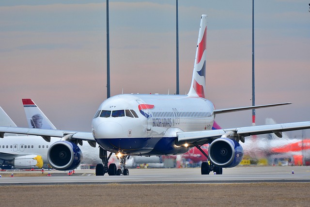 Airline Policies & Booking
